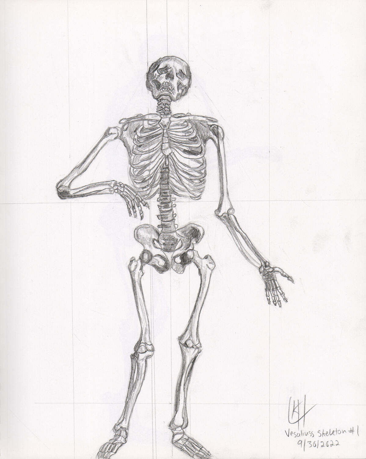 A study of the Vesalius skeleton, 11x14 inches, graphite on paper.